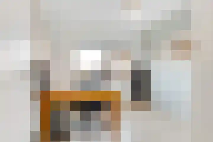 Ivoorzwamsingel 3 Vleuten thumbnail 30