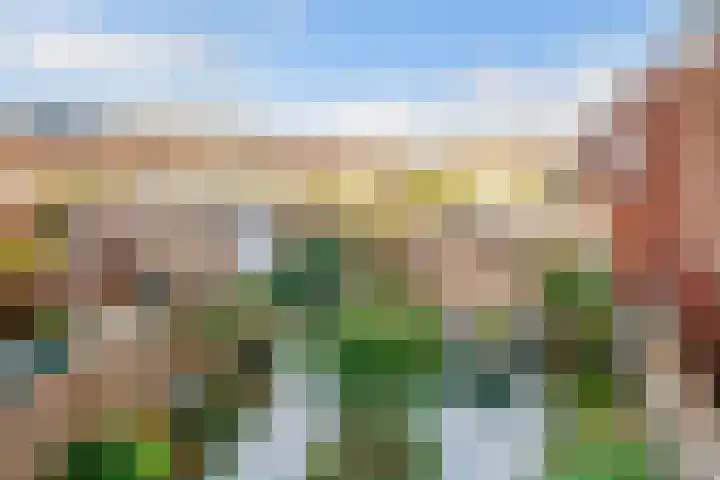 Ivoorzwamsingel 3 Vleuten thumbnail 34