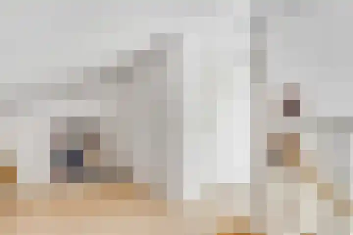 Ivoorzwamsingel 3 Vleuten thumbnail 36