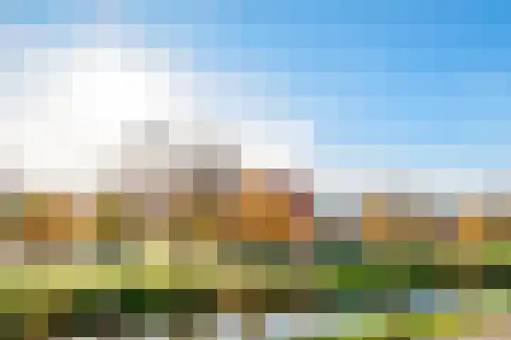 Ivoorzwamsingel 3 Vleuten thumbnail 39