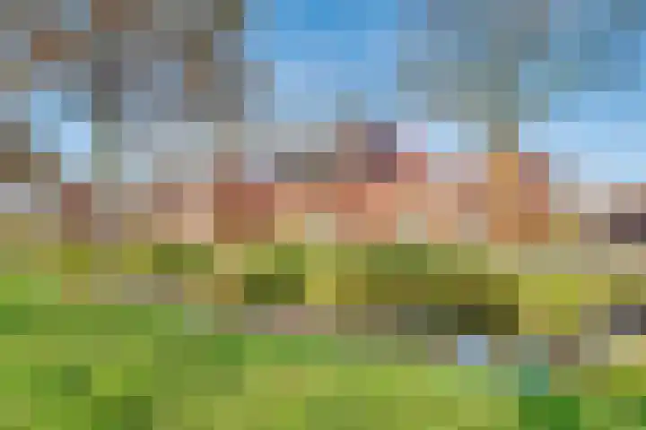 Ivoorzwamsingel 3 Vleuten thumbnail 4