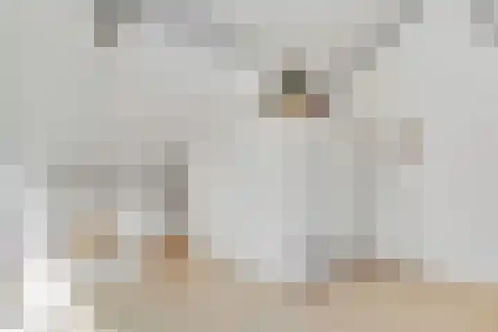 Ivoorzwamsingel 3 Vleuten thumbnail 40