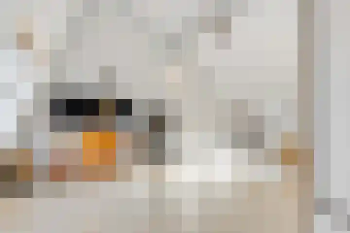 Ivoorzwamsingel 3 Vleuten thumbnail 41