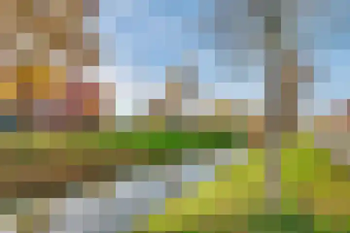 Ivoorzwamsingel 3 Vleuten thumbnail 54