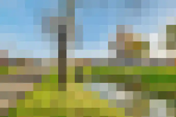Ivoorzwamsingel 3 Vleuten thumbnail 55