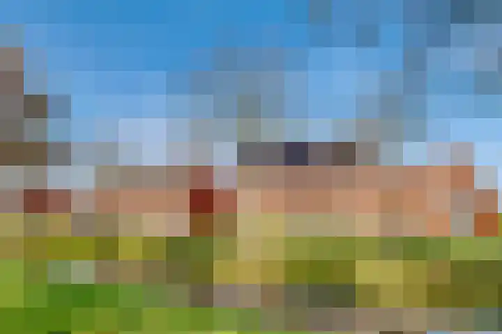 Ivoorzwamsingel 3 Vleuten thumbnail 56
