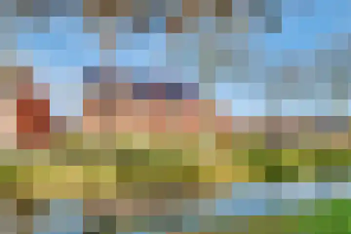 Ivoorzwamsingel 3 Vleuten thumbnail 57