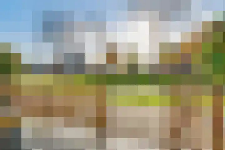 Ivoorzwamsingel 3 Vleuten thumbnail 9