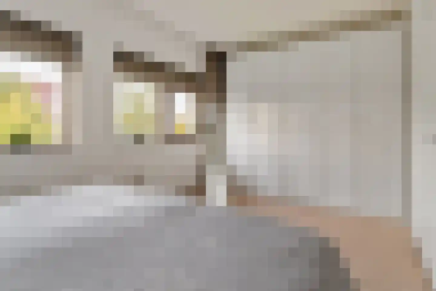 Ivoorzwamsingel 5 Vleuten thumbnail 15