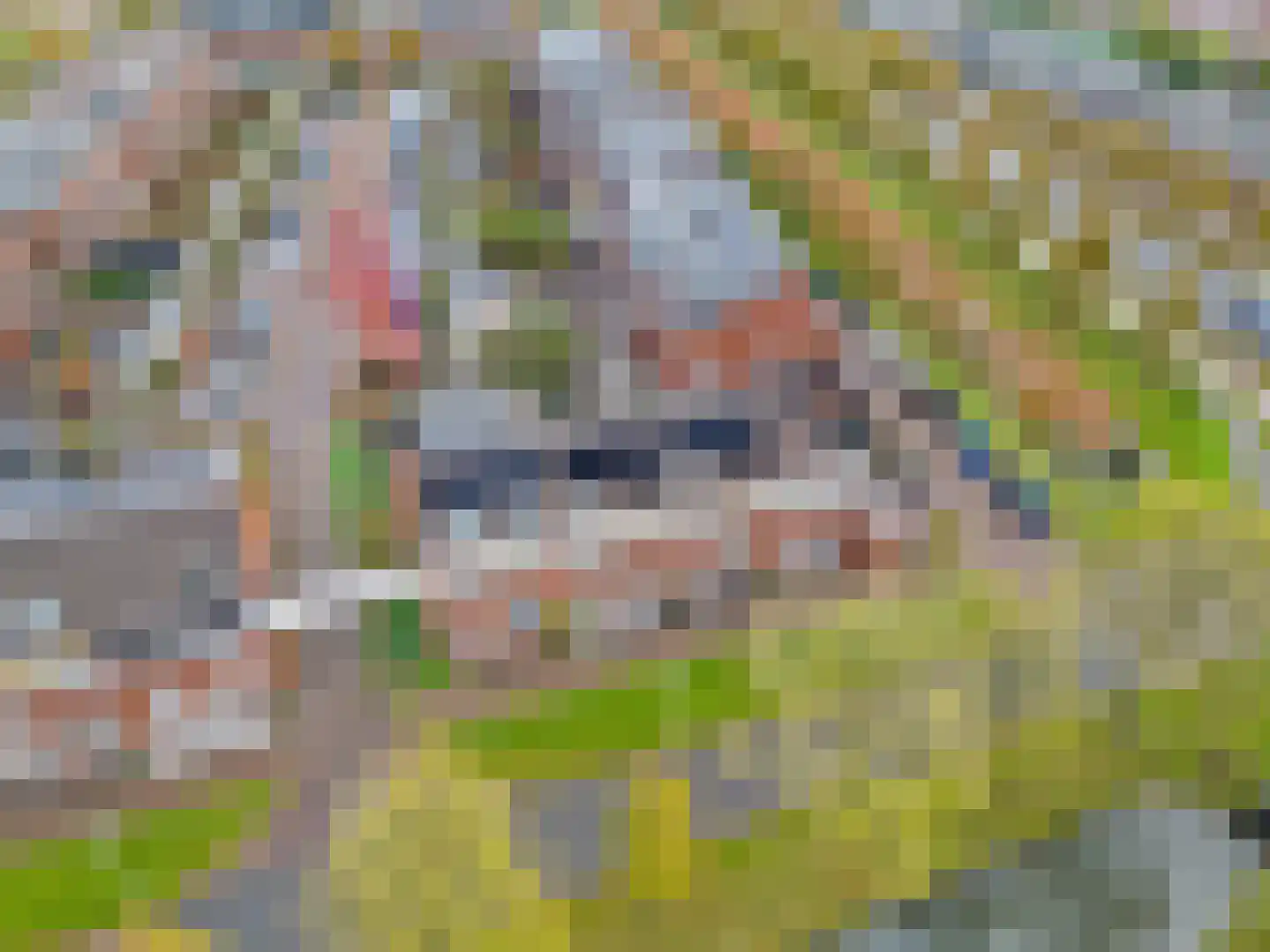 Ivoorzwamsingel 5 Vleuten thumbnail 25