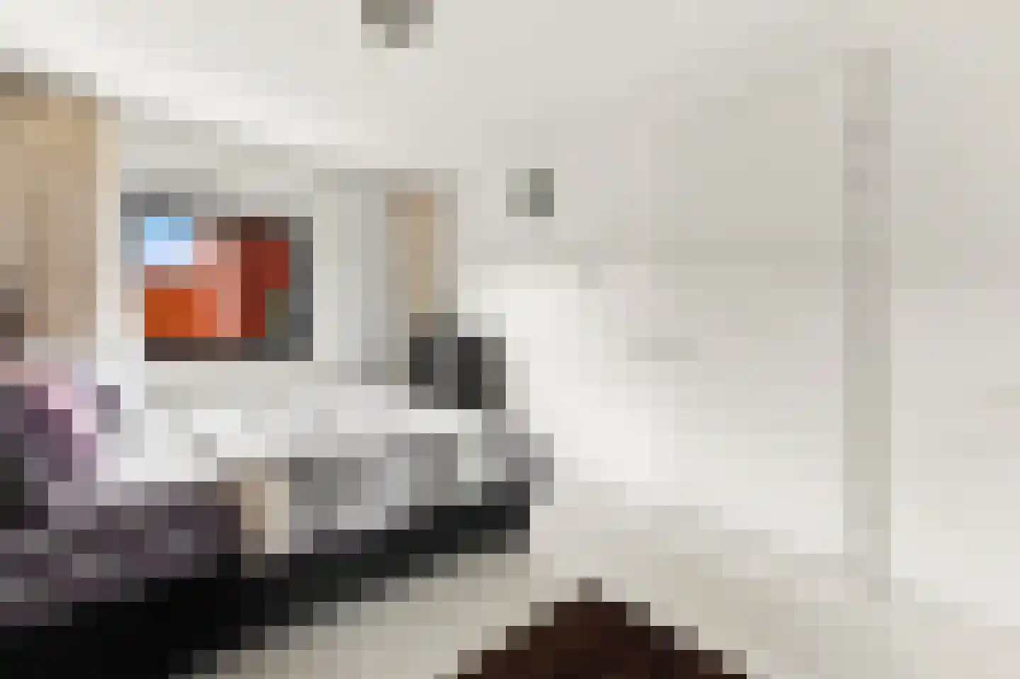 Iwanhof 10 Rotterdam thumbnail 26