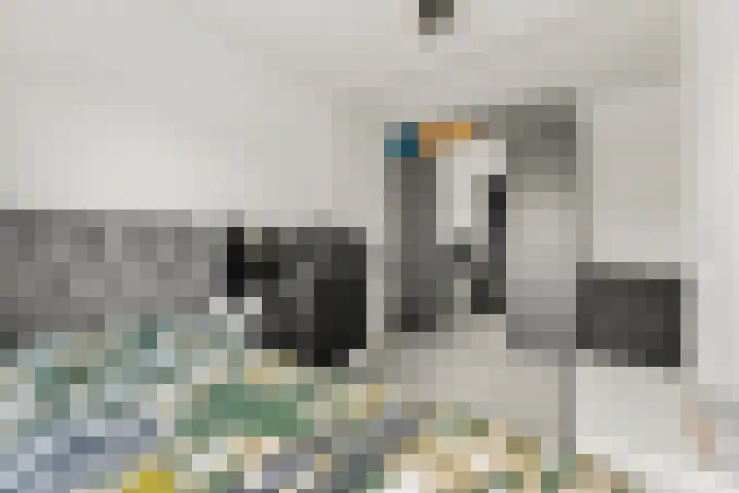 Iwanhof 10 Rotterdam thumbnail 30
