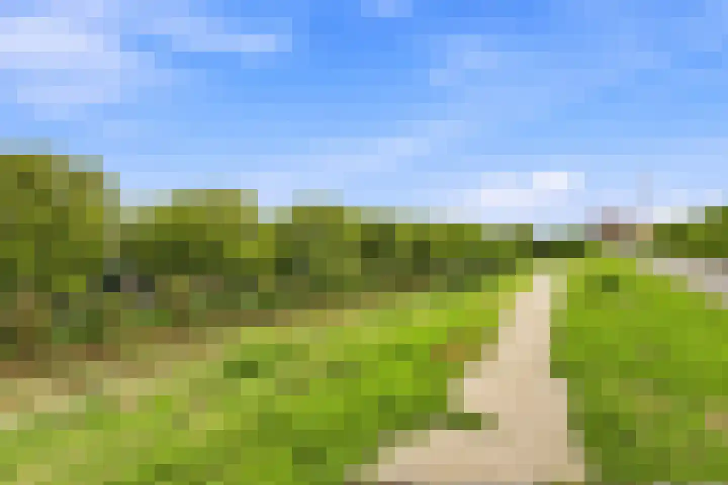 Iwanhof 10 Rotterdam thumbnail 46