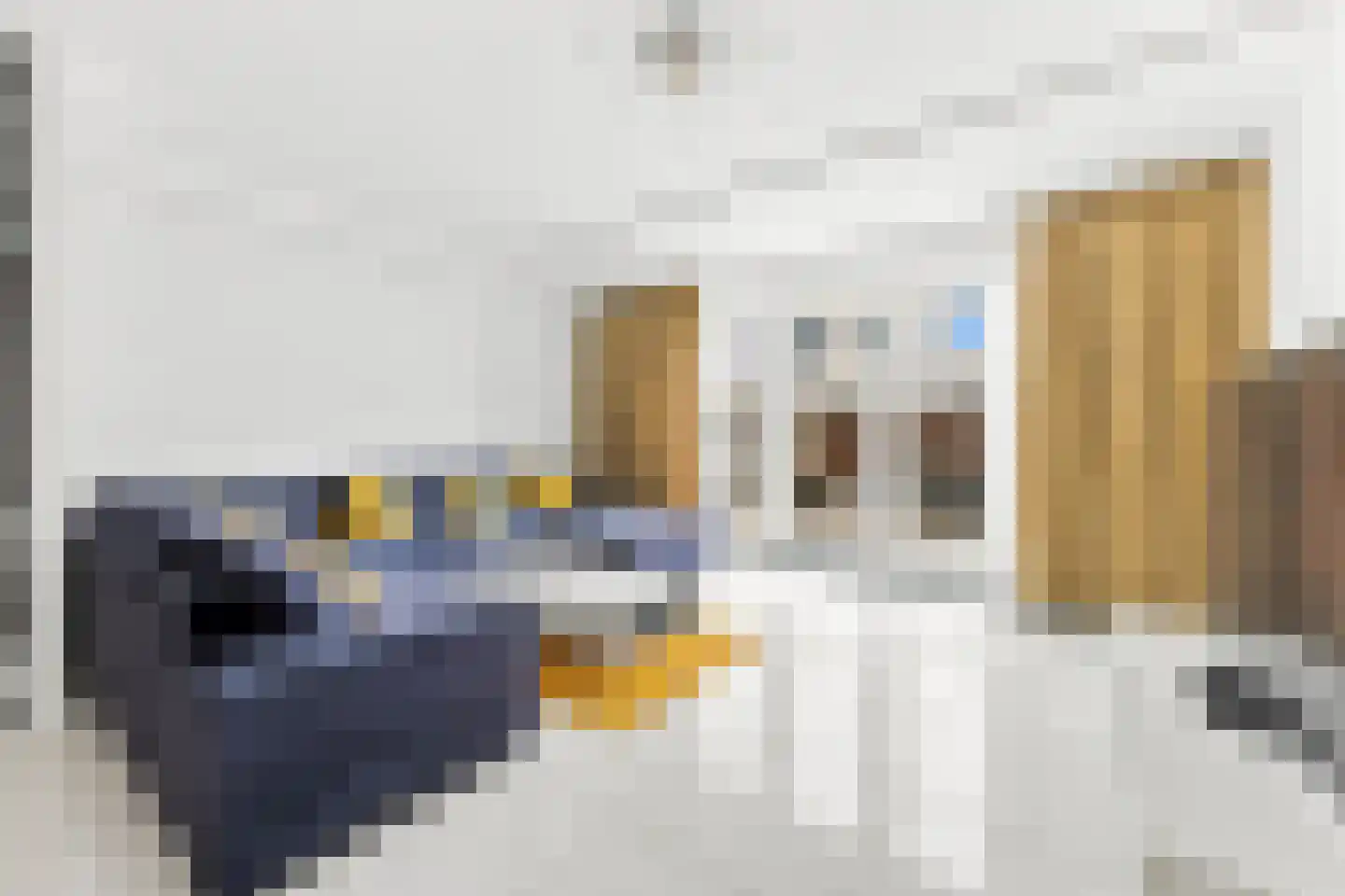 Iwanhof 10 Rotterdam thumbnail 5