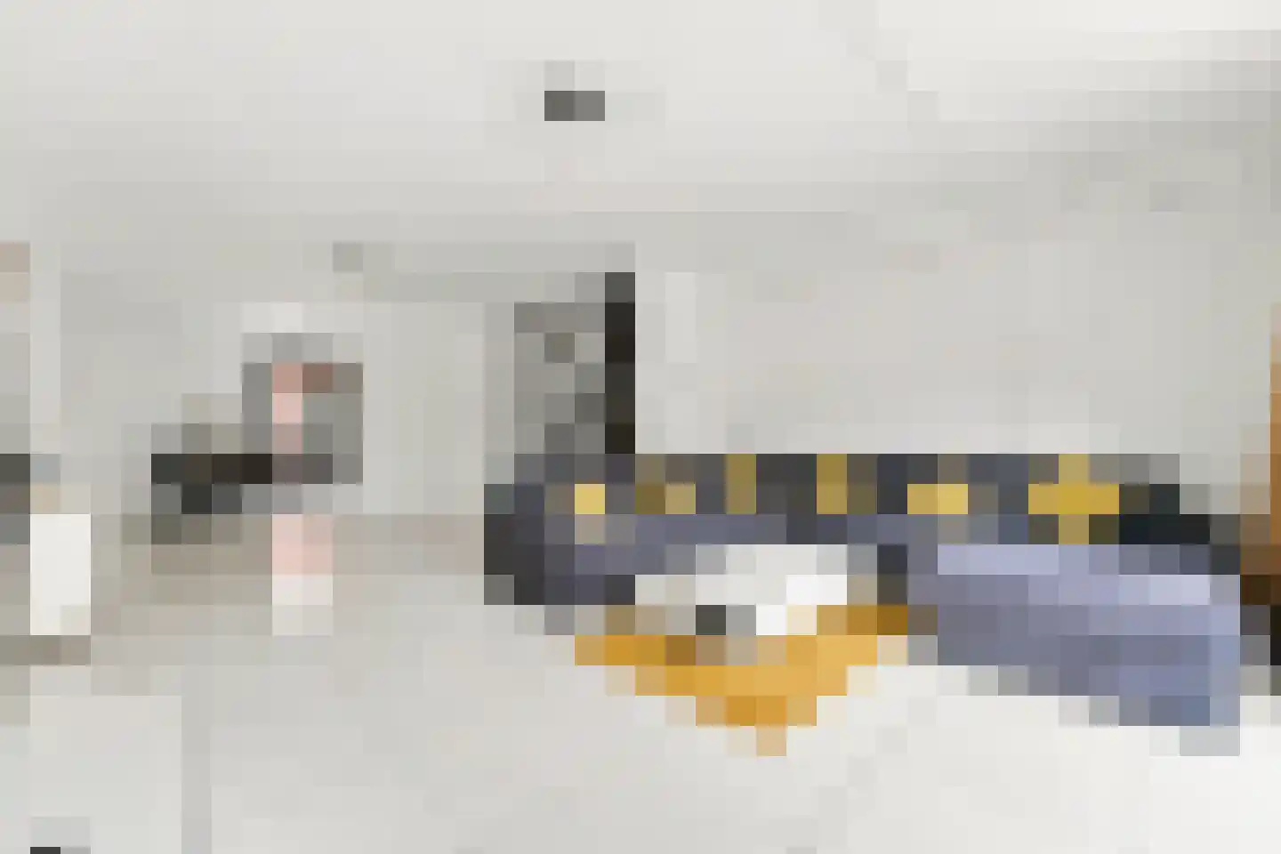 Iwanhof 10 Rotterdam thumbnail 6