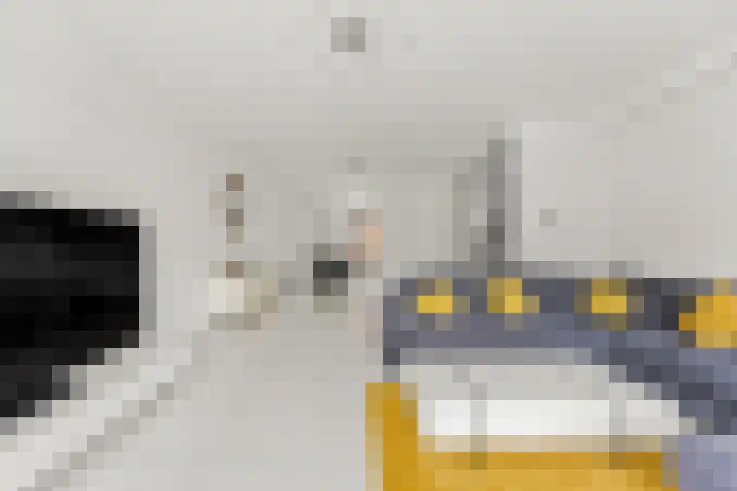 Iwanhof 10 Rotterdam thumbnail 7