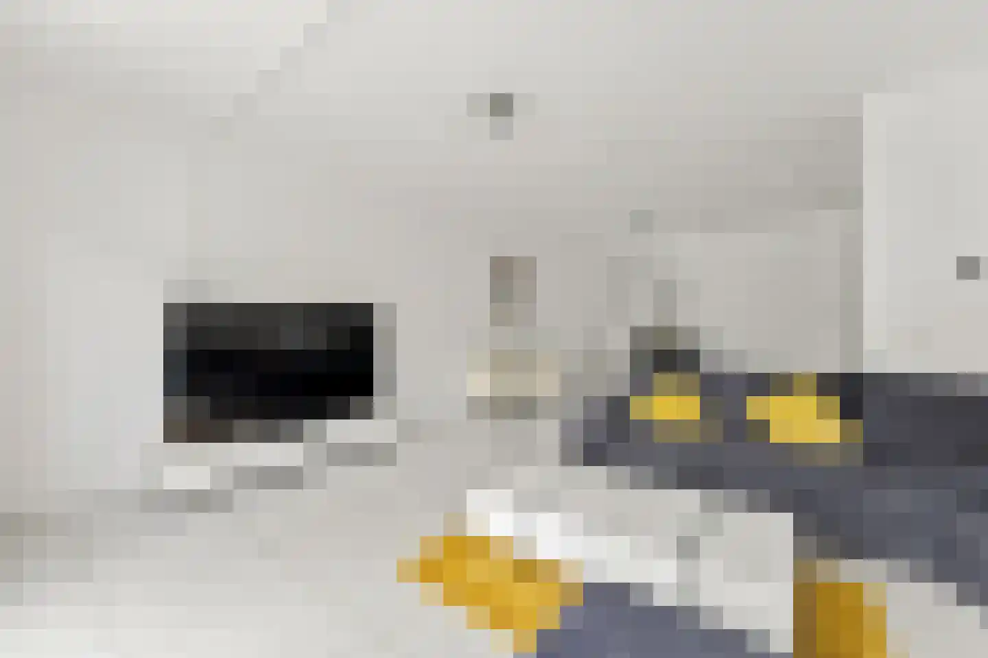 Iwanhof 10 Rotterdam thumbnail 8
