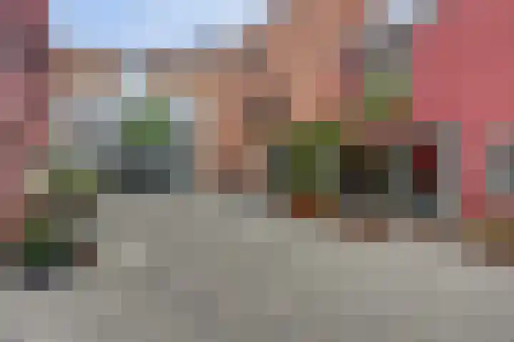 Iwanhof 9 Rotterdam thumbnail 5