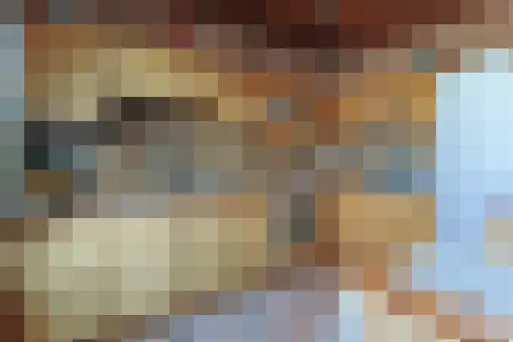 Ixiadal 10 Leiden thumbnail 12