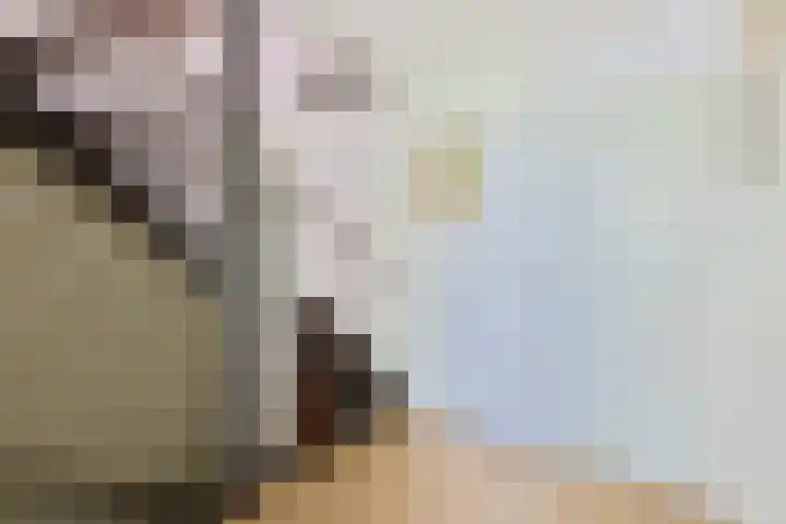Ixiadal 10 Leiden thumbnail 13