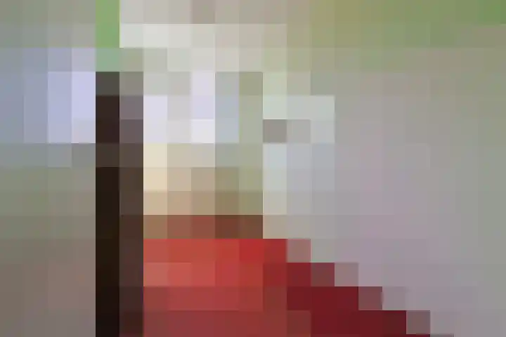 Ixiadal 10 Leiden thumbnail 17