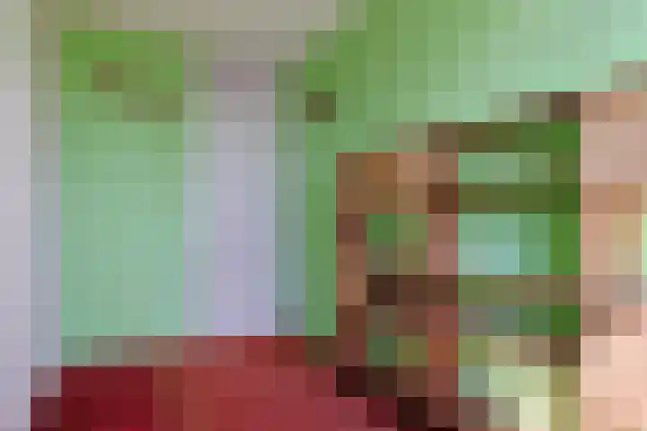 Ixiadal 10 Leiden thumbnail 18