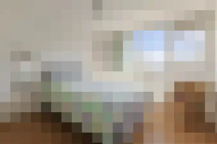Ixiadal 10 Leiden thumbnail 19