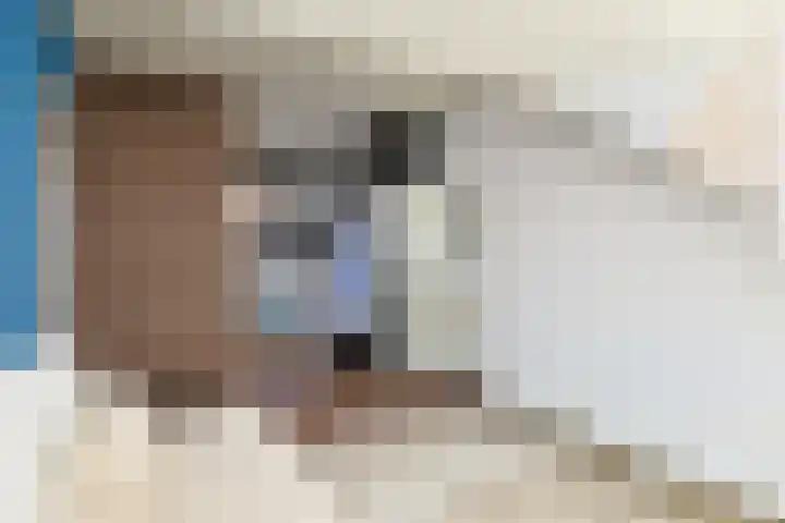 Ixiadal 10 Leiden thumbnail 25