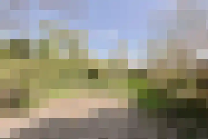 Ixiadal 10 Leiden thumbnail 29