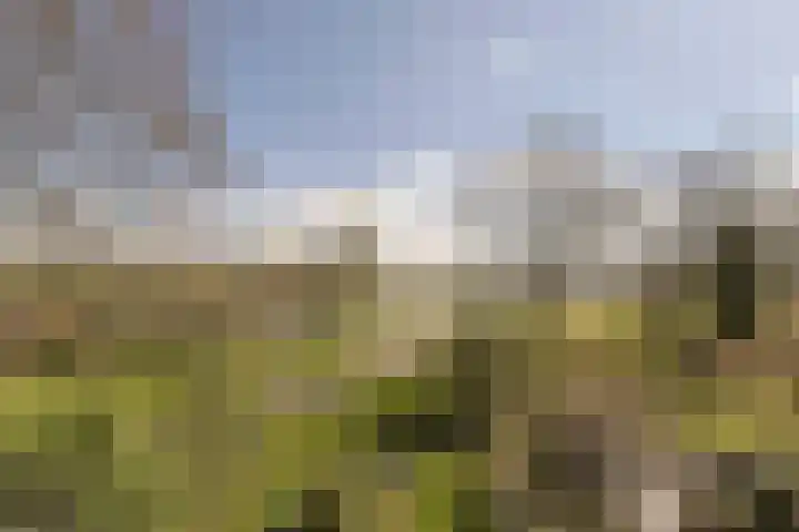 Ixiadal 10 Leiden thumbnail 30