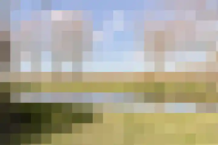 Ixiadal 10 Leiden thumbnail 31