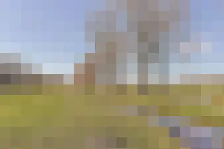 Ixiadal 10 Leiden thumbnail 32