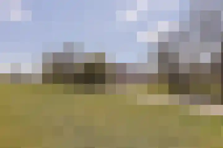 Ixiadal 10 Leiden thumbnail 4