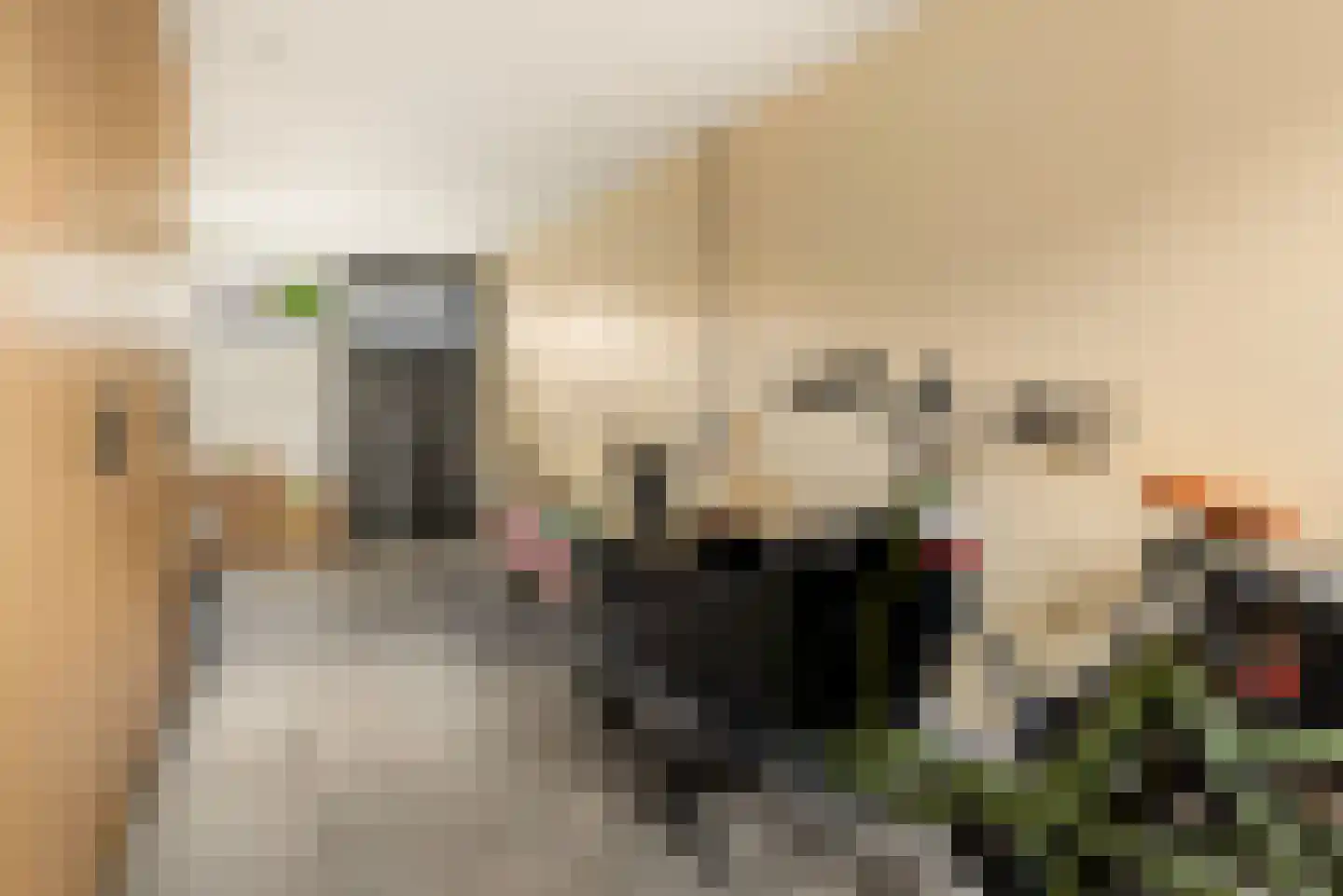 Ixiastraat 5 Akersloot thumbnail 32