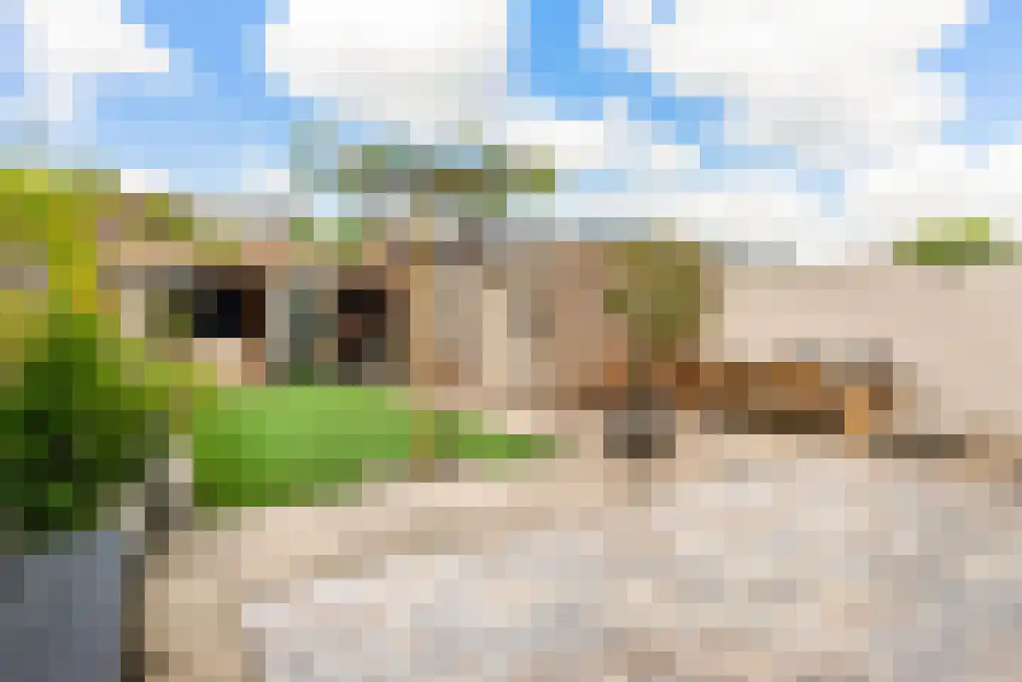 Ixiastraat 5 Akersloot thumbnail 4
