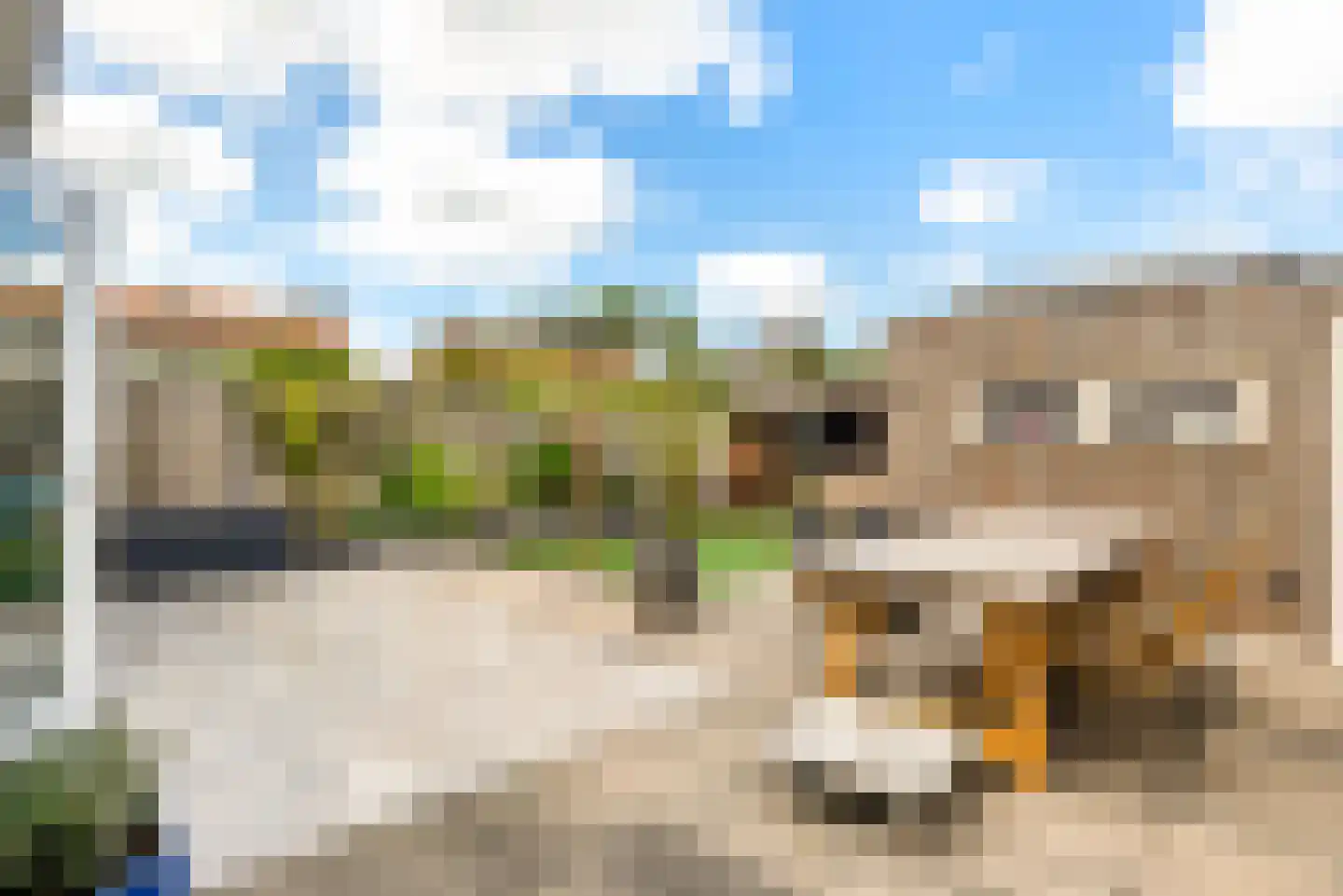 Ixiastraat 5 Akersloot thumbnail 50