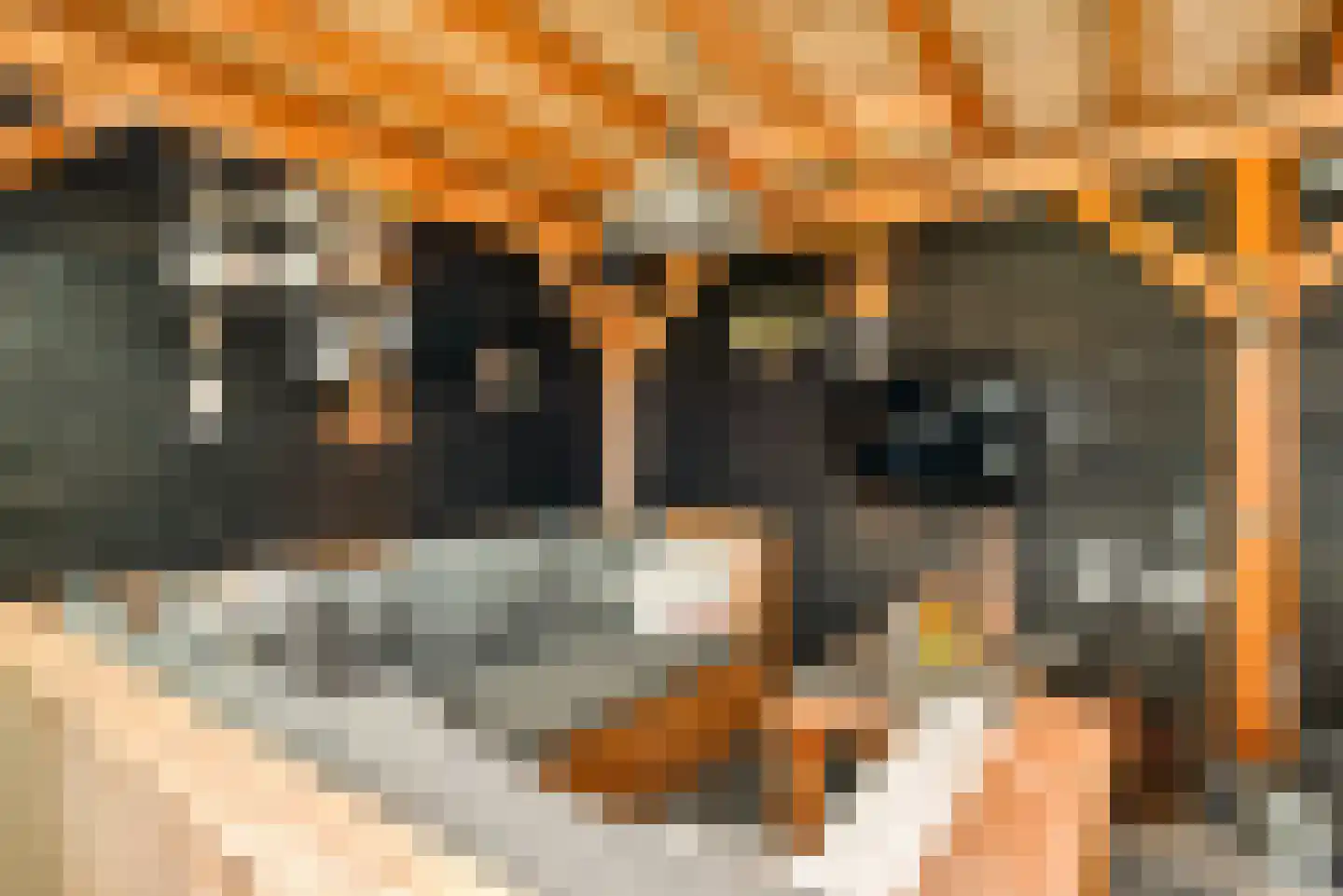 Ixiastraat 5 Akersloot thumbnail 62