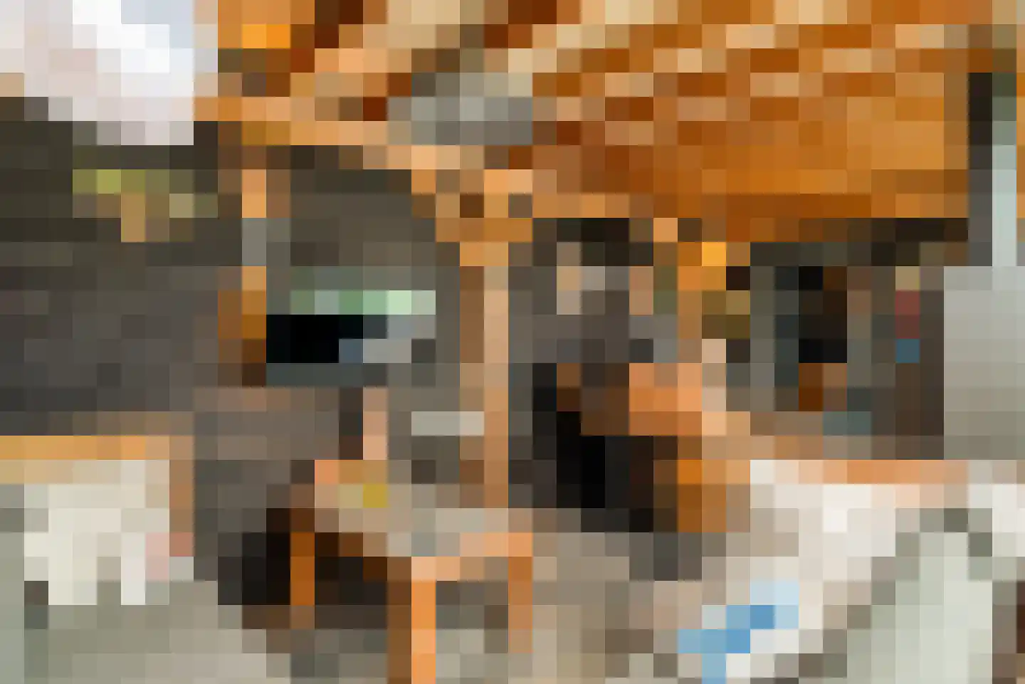 Ixiastraat 5 Akersloot thumbnail 63