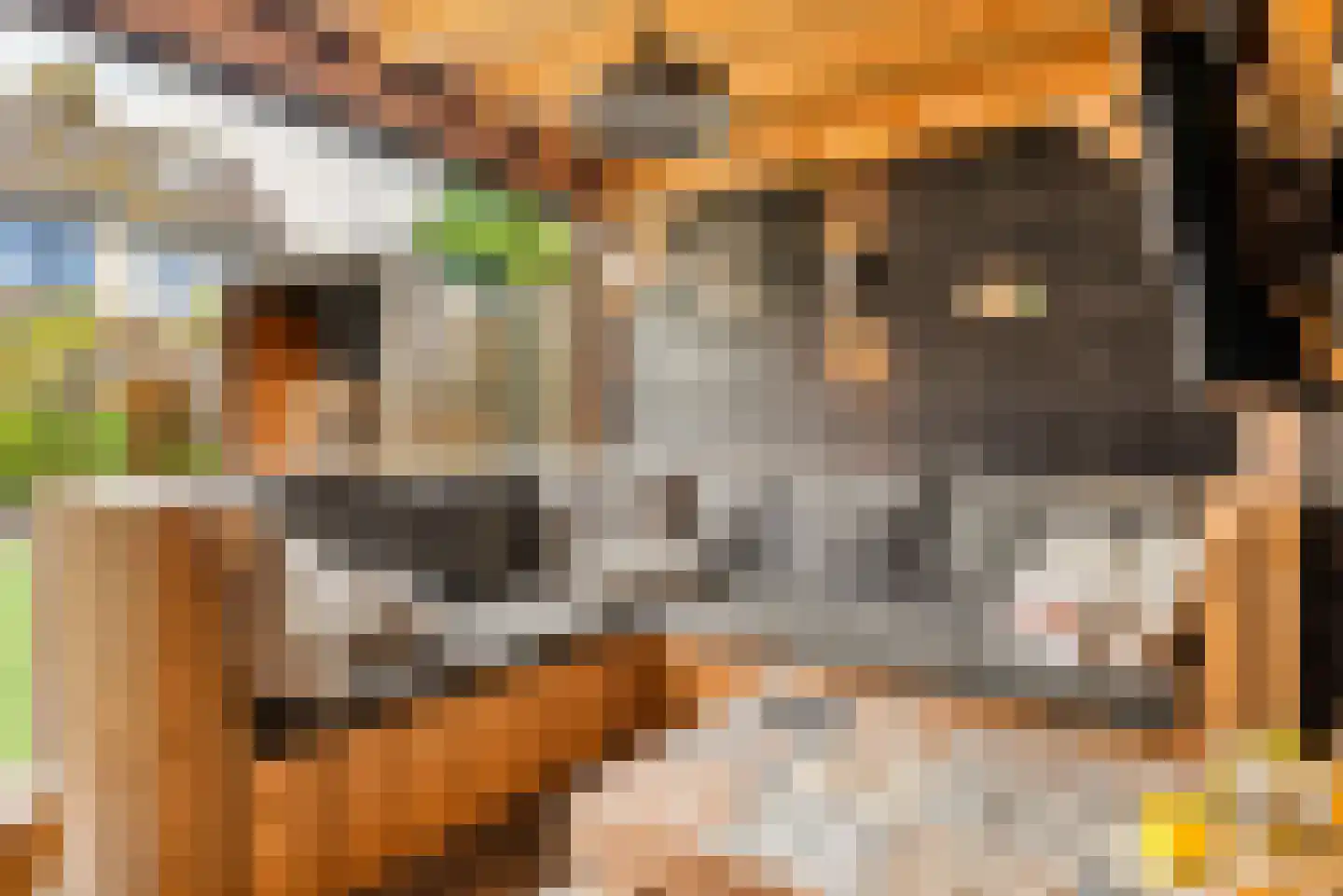 Ixiastraat 5 Akersloot thumbnail 64
