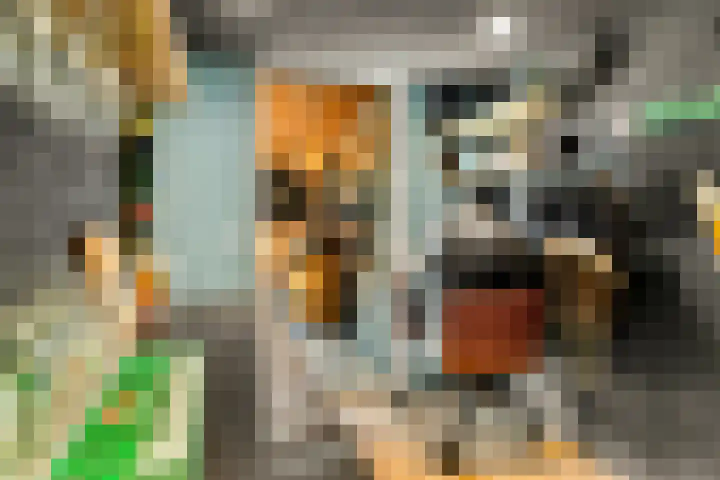 Ixiastraat 5 Akersloot thumbnail 67