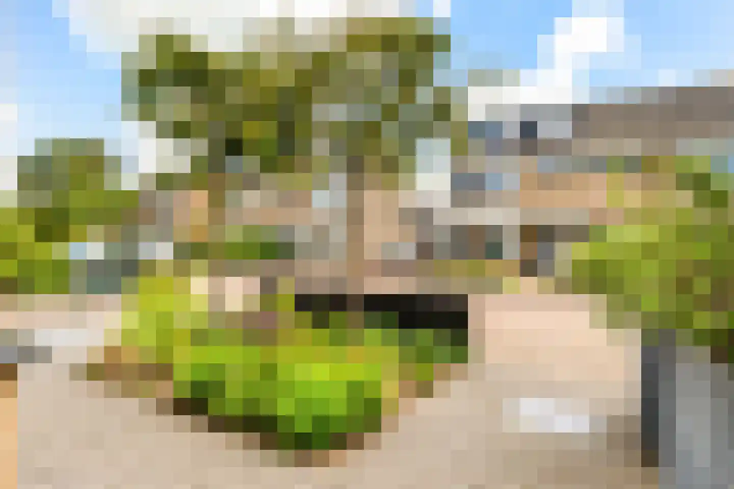 Ixiastraat 5 Akersloot thumbnail 9