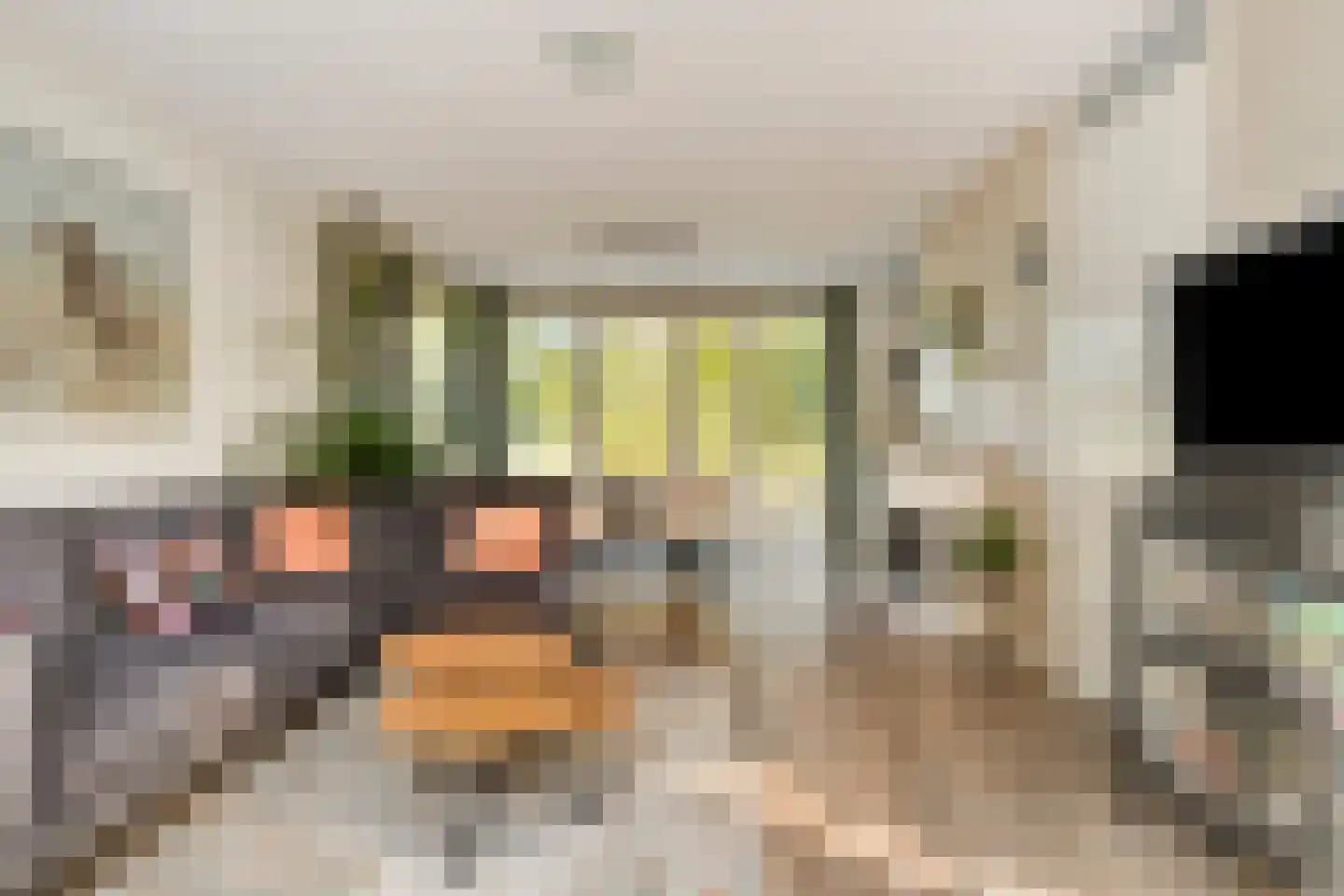 Iyohof 2 Almere thumbnail 12