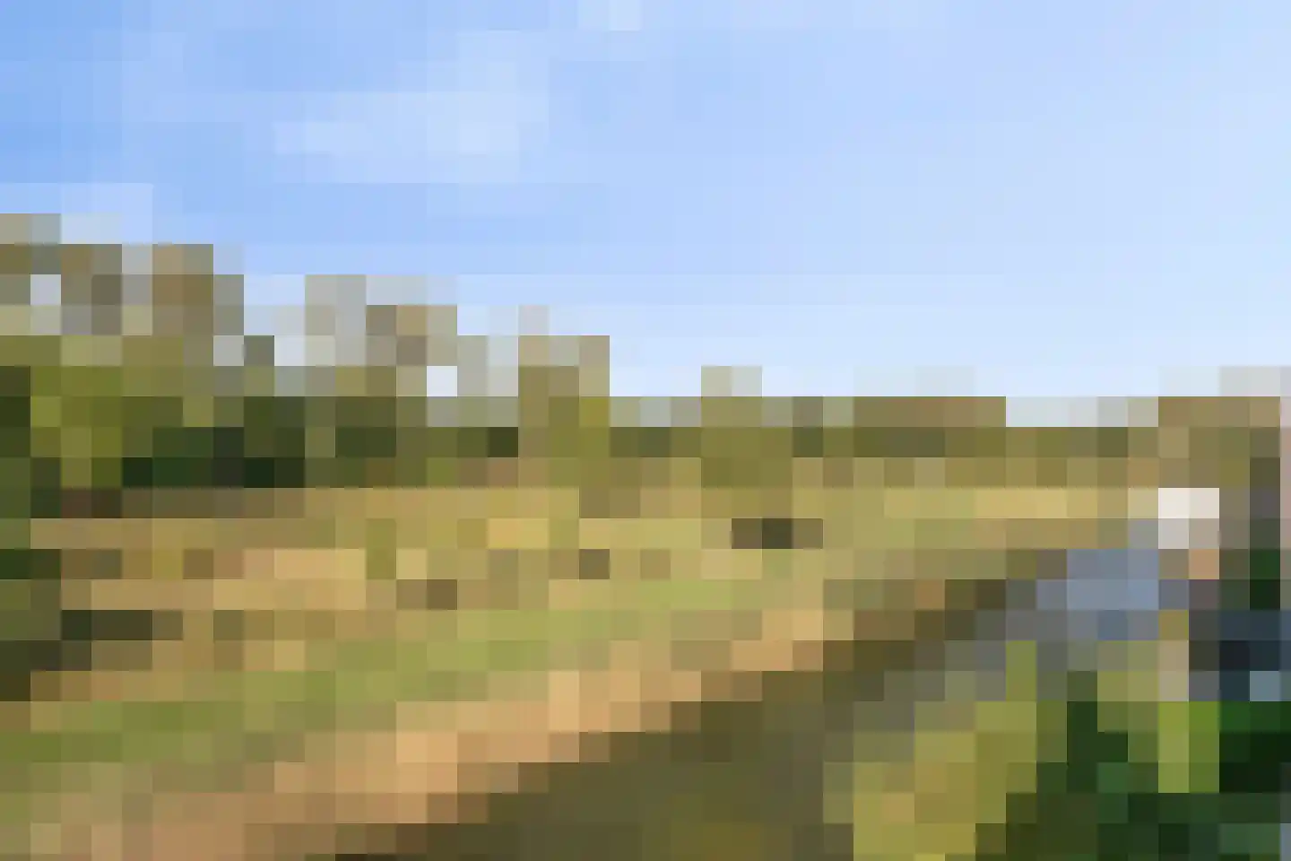Iyohof 2 Almere thumbnail 31