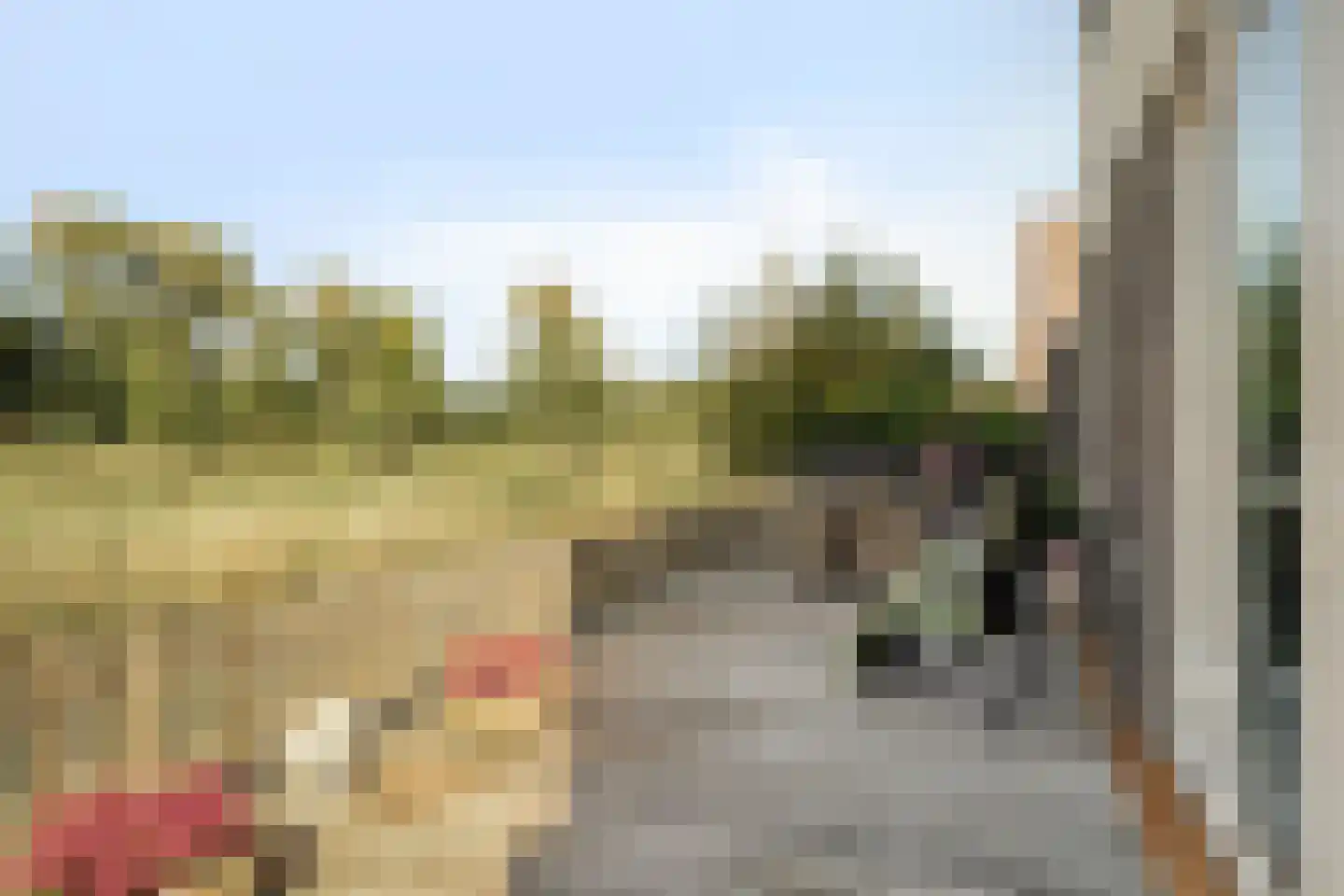 Iyohof 2 Almere thumbnail 34