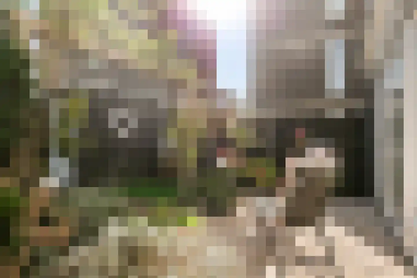 Iyohof 2 Almere thumbnail 40