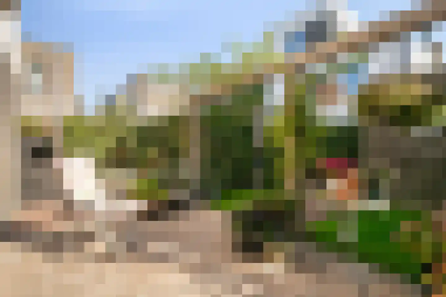 Iyohof 2 Almere thumbnail 41