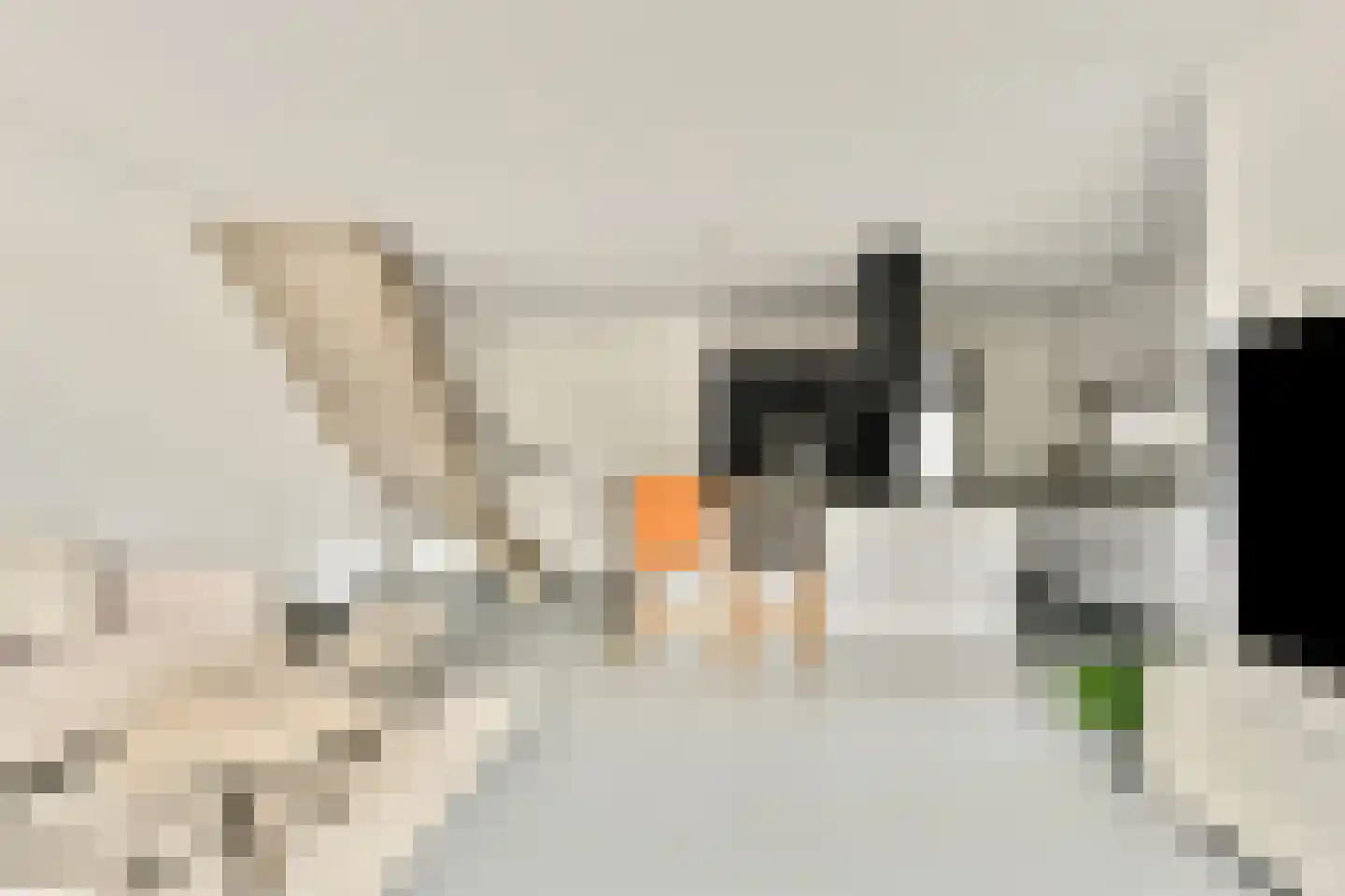 Iyohof 5 Almere thumbnail 10