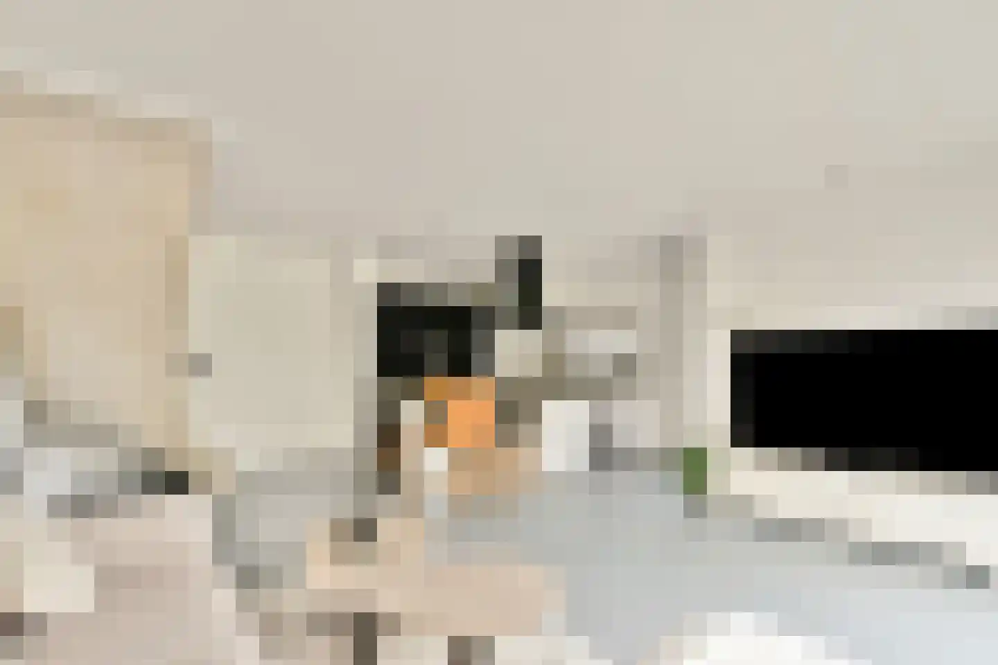 Iyohof 5 Almere thumbnail 11