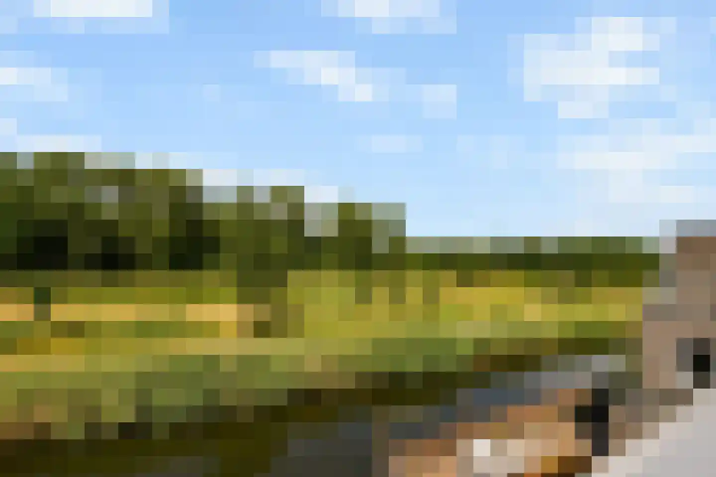Iyohof 5 Almere thumbnail 34