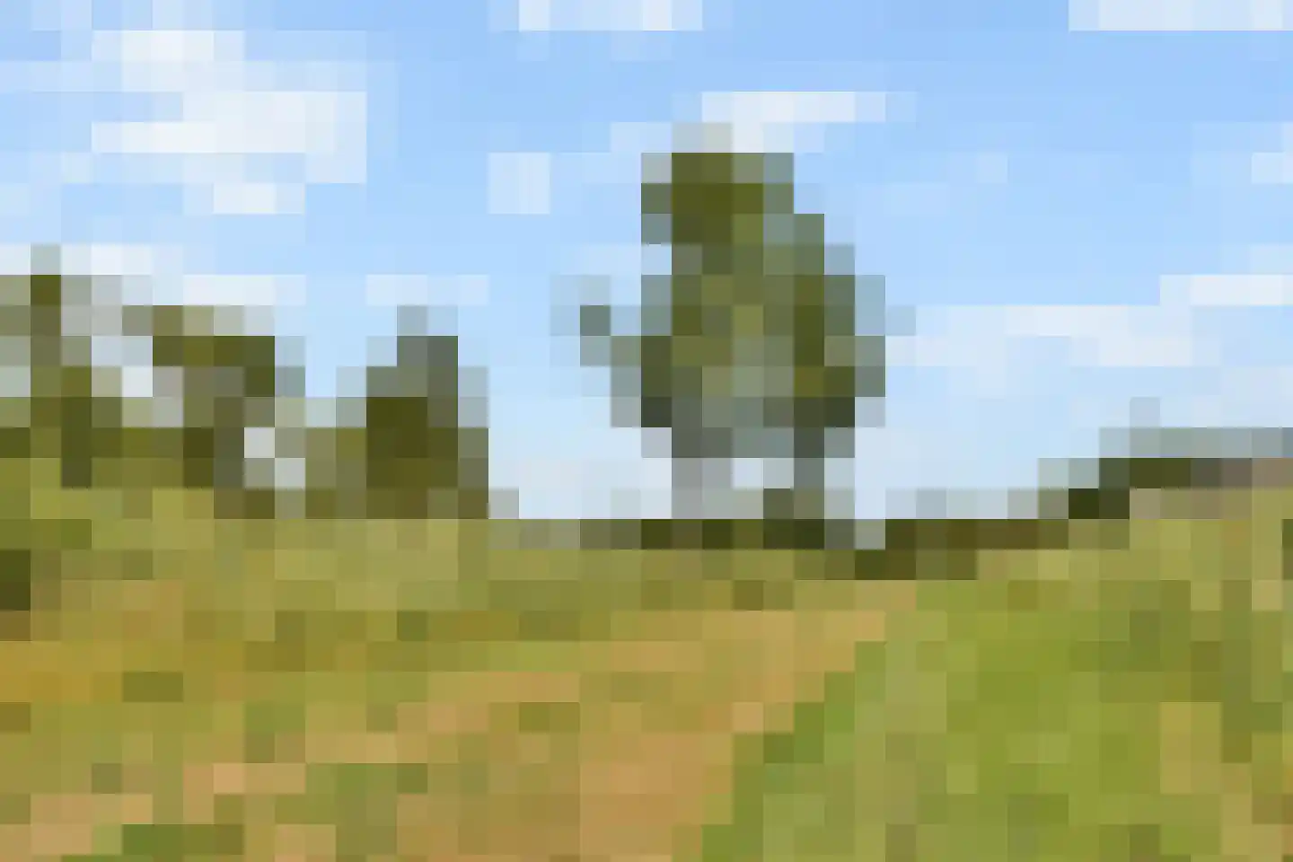 Iyohof 5 Almere thumbnail 39